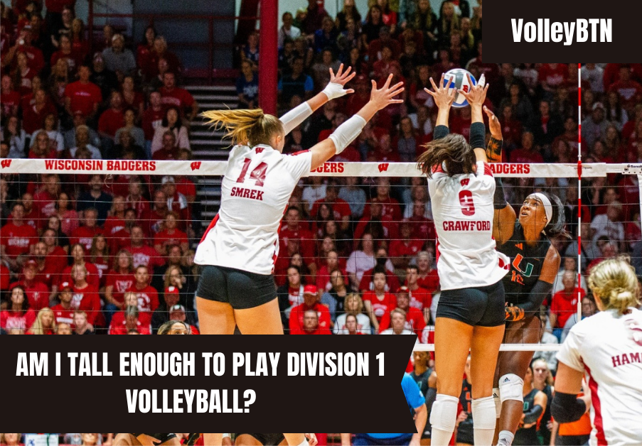 Am I Tall Enough to Play Div I Volleyball?