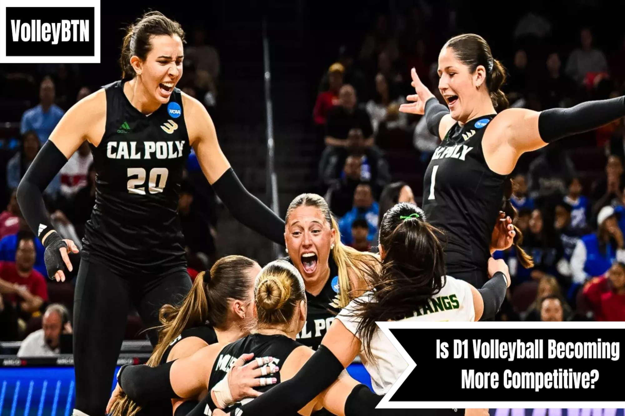 Is DI Volleyball Becoming More Competitive? (Part I)
